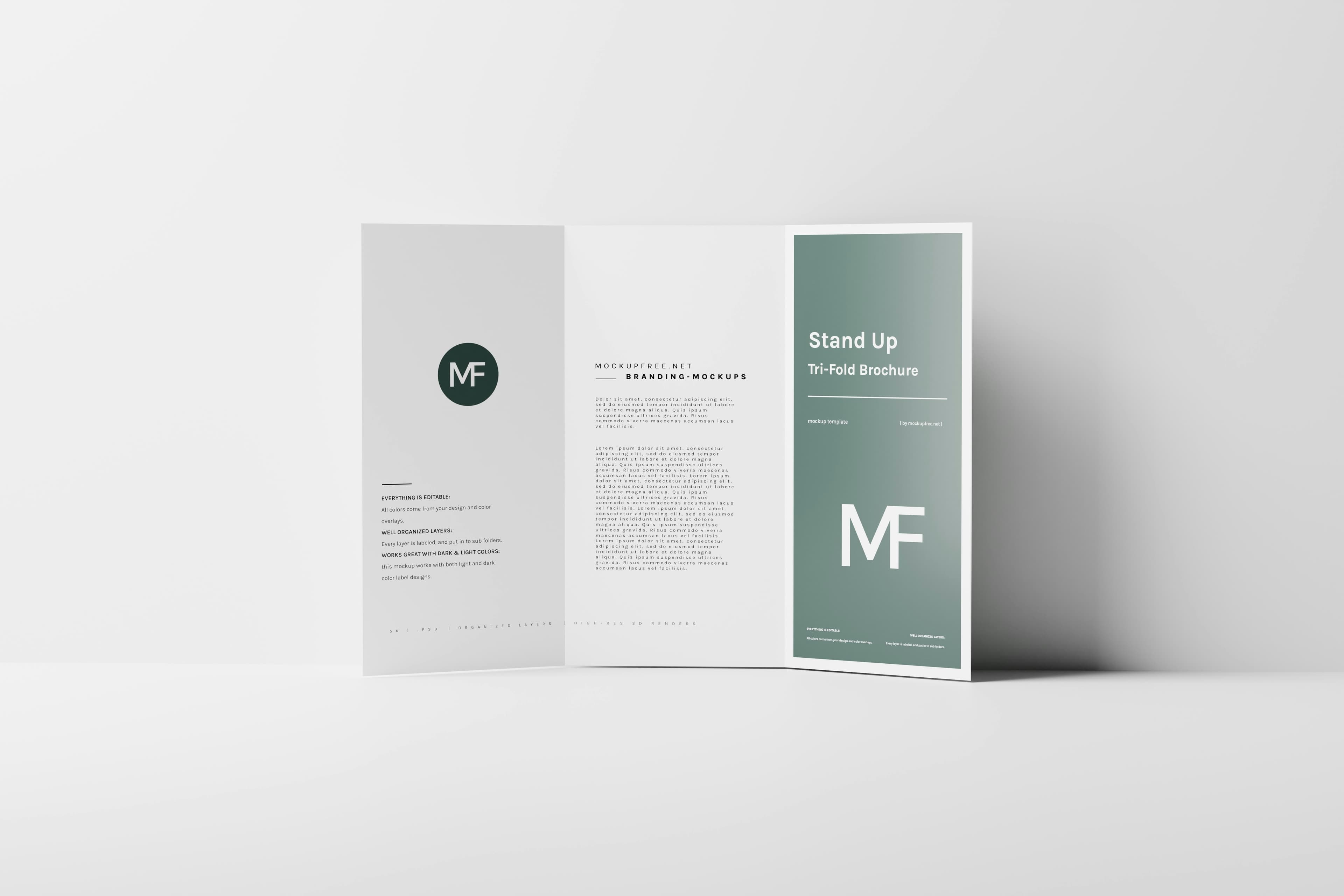 Vinyl Prints & Wraps